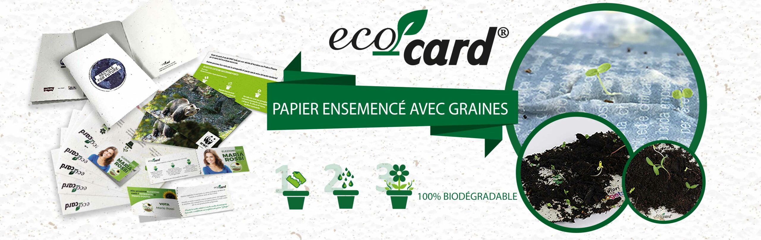 eco-card-papier-ensemence eco-card-papier-ensemence